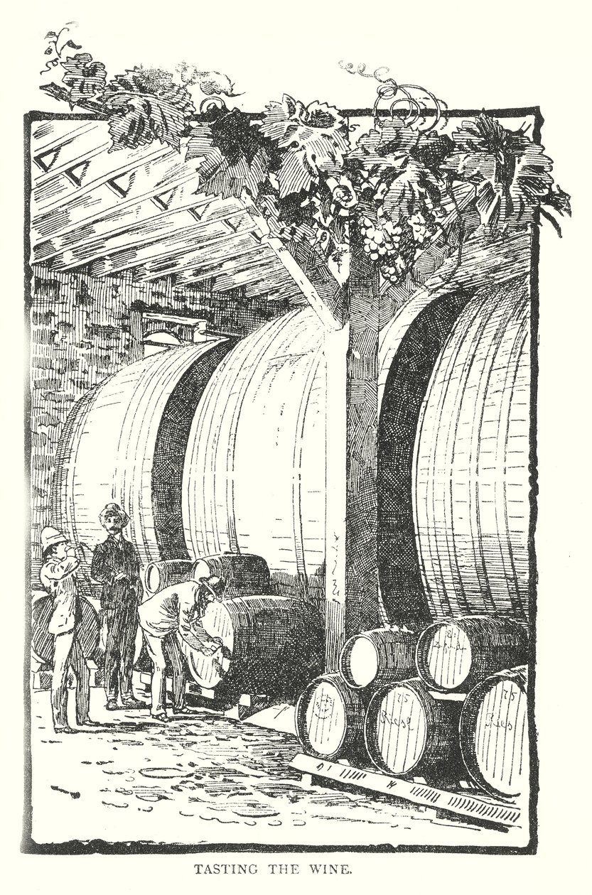 Tasting the Wine by English School