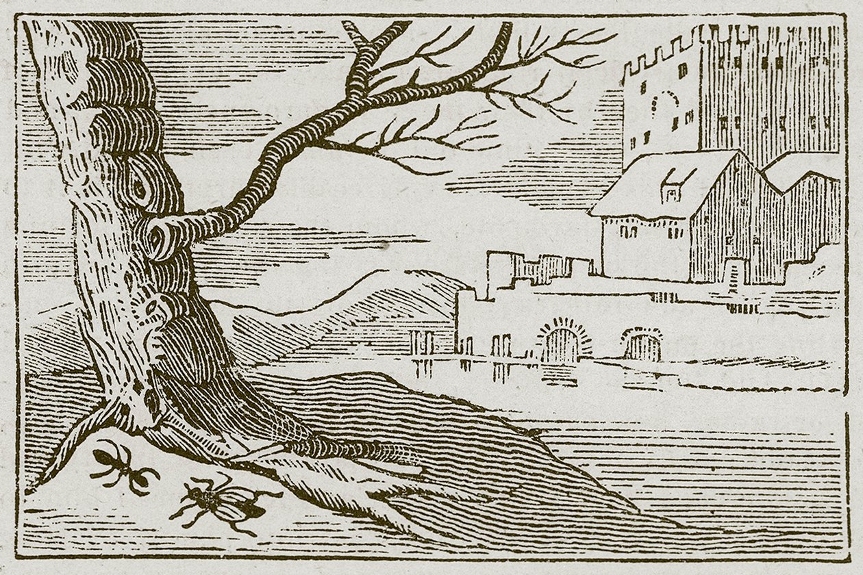 The Ant and the Fly by English School