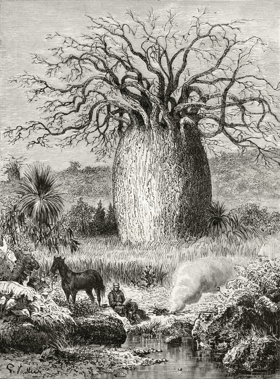 The Bottle Tree, from 