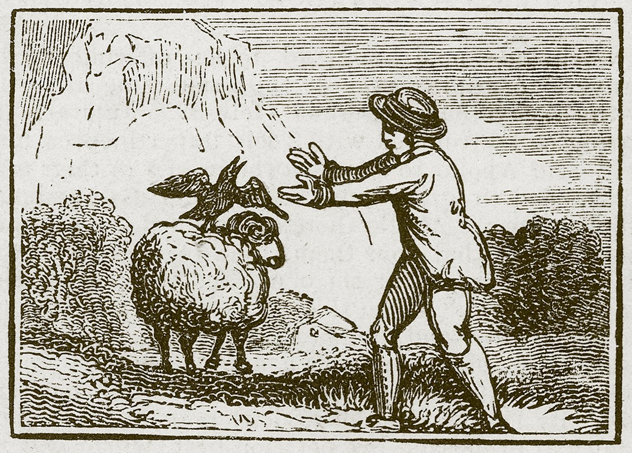 The Eagle and the Crow by English School