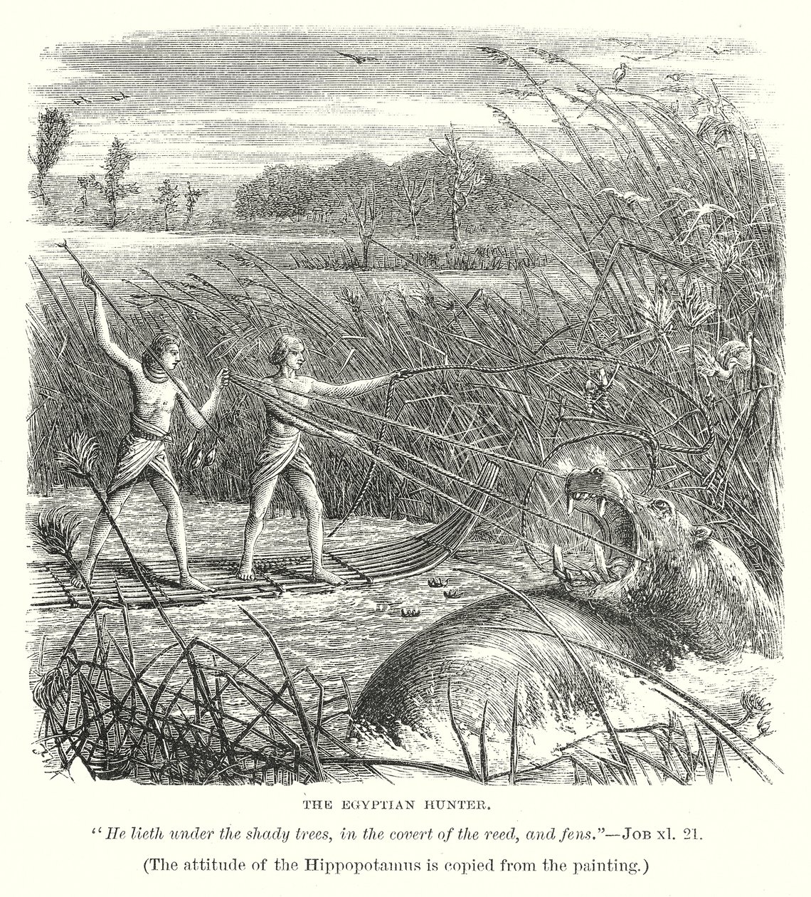 The Egyptian Hunter by English School