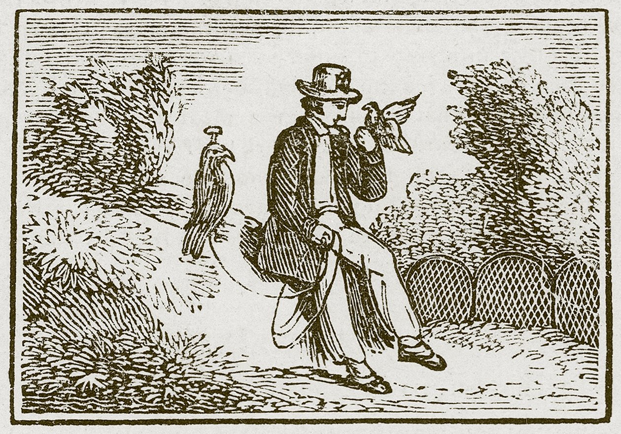 The Falconer and the Partridge by English School