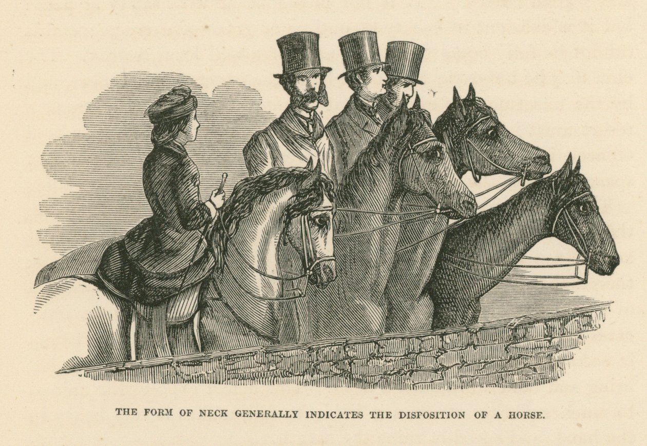 The Form of Neck Generally Indicates the Disposition of a Horse by English School