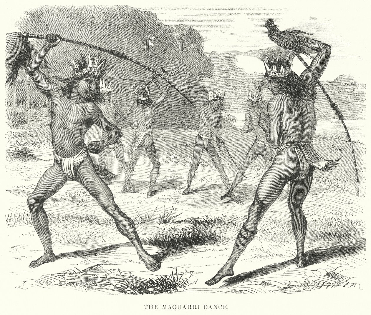 The Maquarri Dance by English School