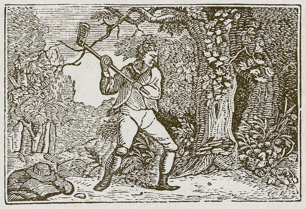 The Wood and the Clown by English School