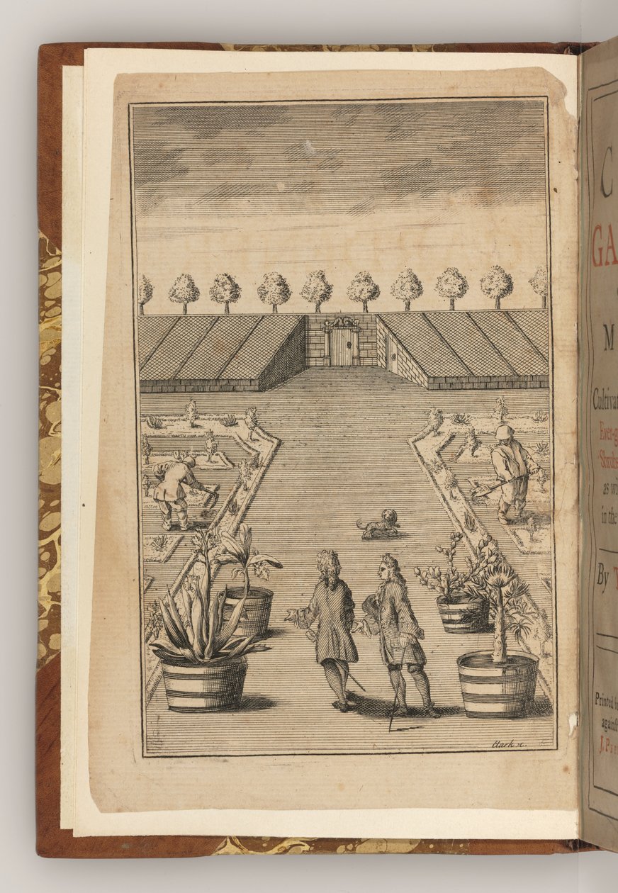 The Frontispiece of The City Gardener by Thomas Fairchild by English School