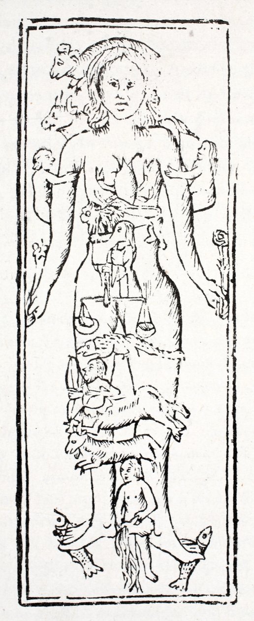 Zodiac corresponding body parts 60 photos - Youhoroscope.com