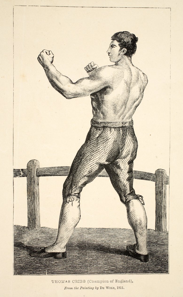 Thomas Cribb, Champion of England, from the Painting by De Wild by English School