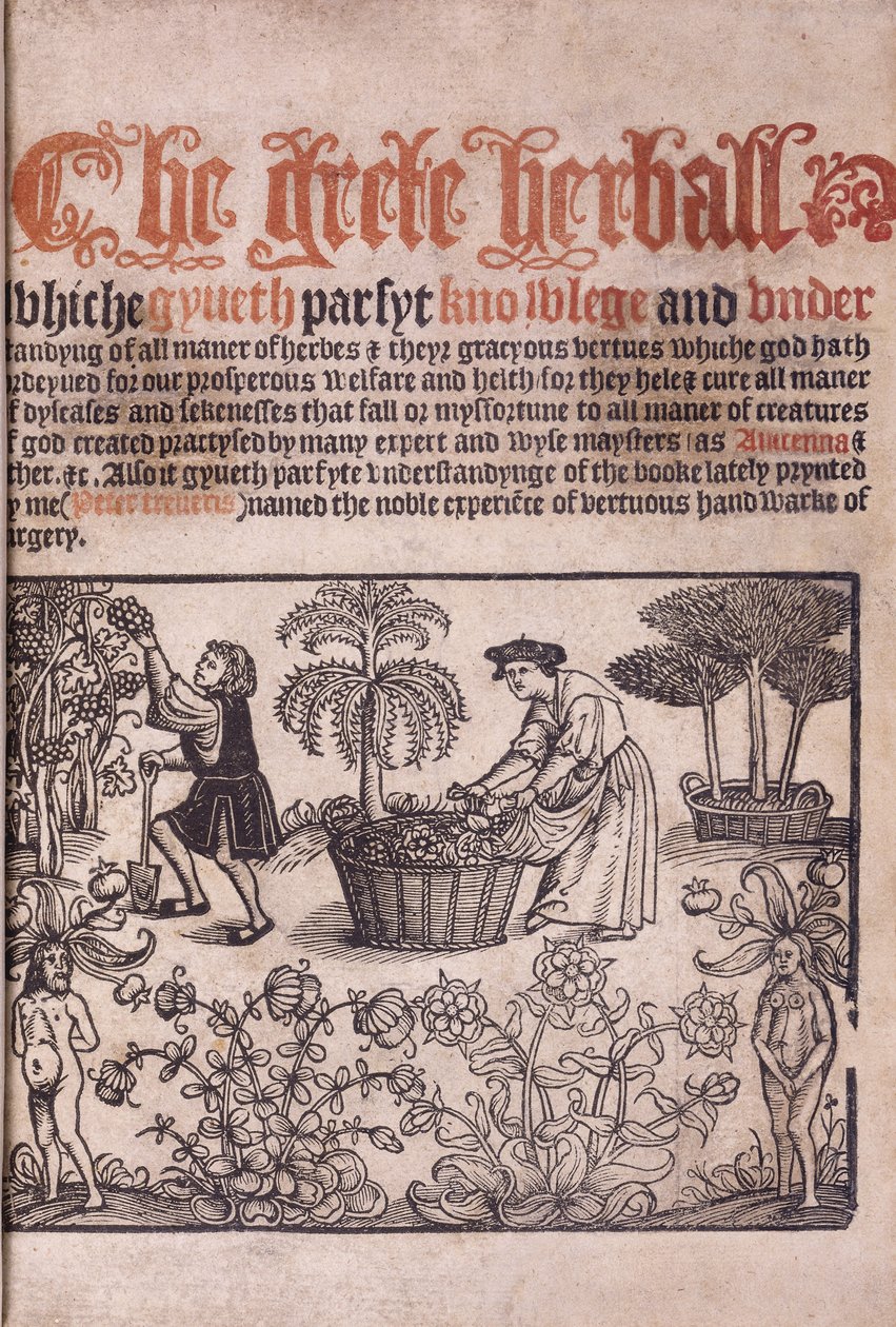 Title page illustrating a garden scene with figures, 1529 by English School