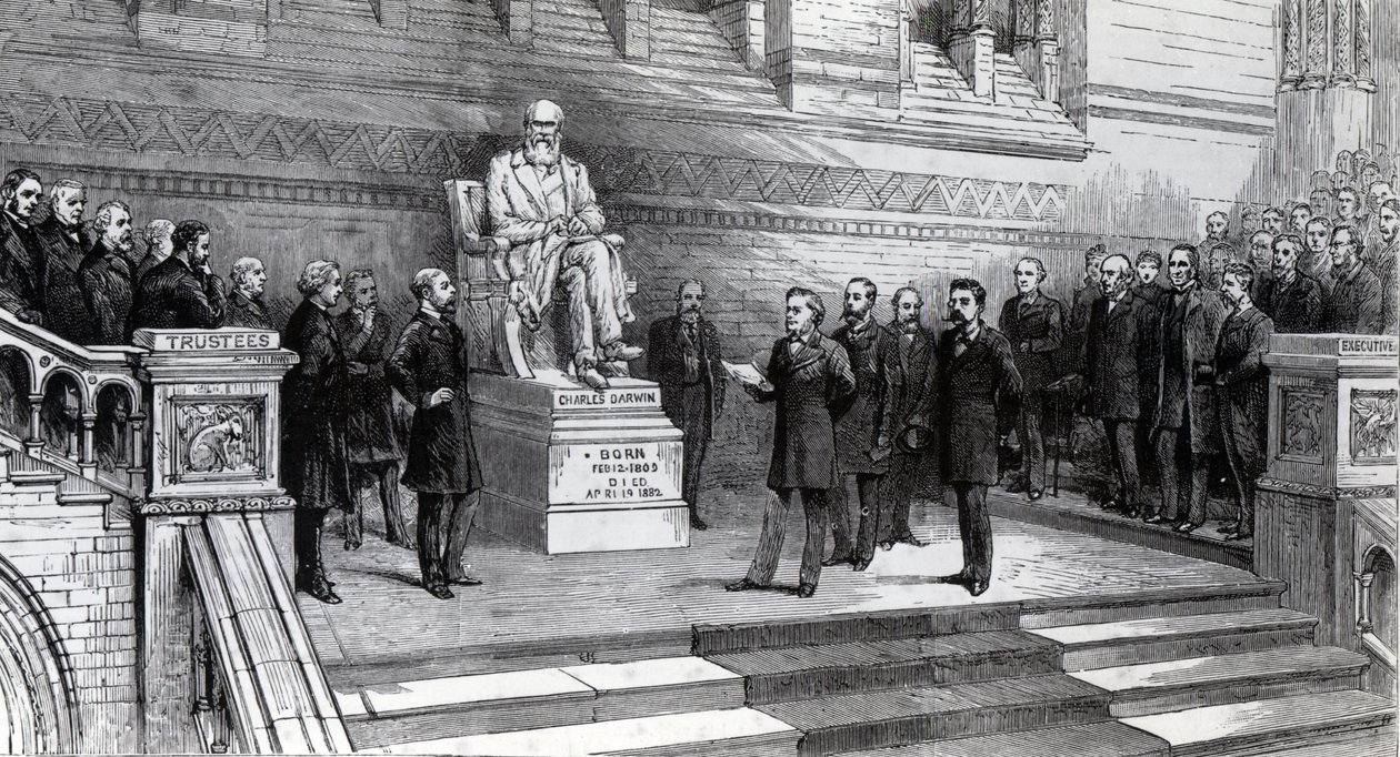 Unveiling the statue of the late Charles Darwin in the Natural History Museum, South Kensington, 9th June 1885 by English School