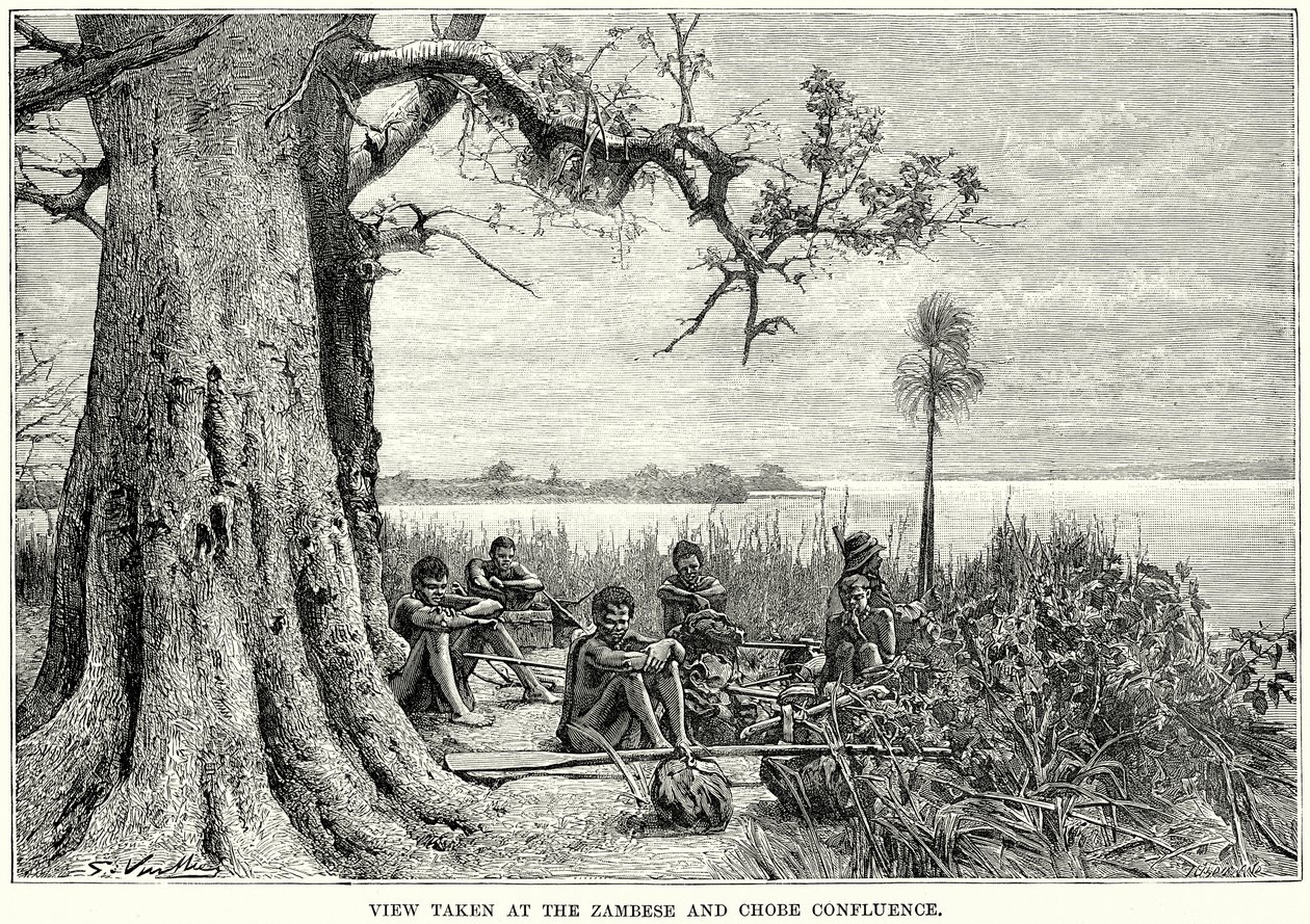 View Taken at the Zambese and Chobe Confluence by English School