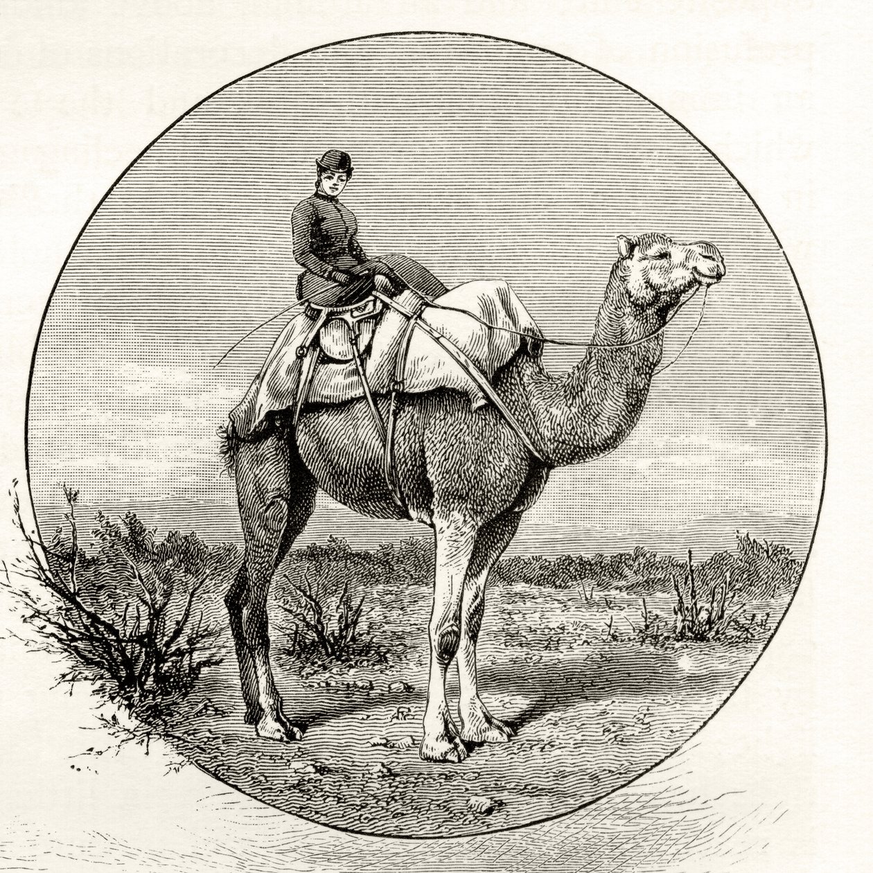 Woman on a Camel in Australia, from 