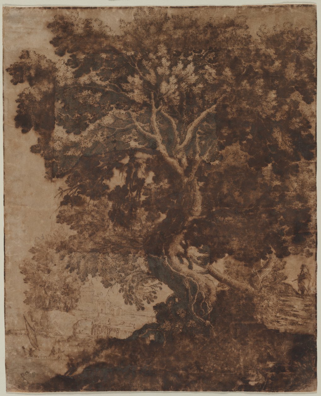 Tree in a Landscape, mid 17th century by Ercole Bazicaluva
