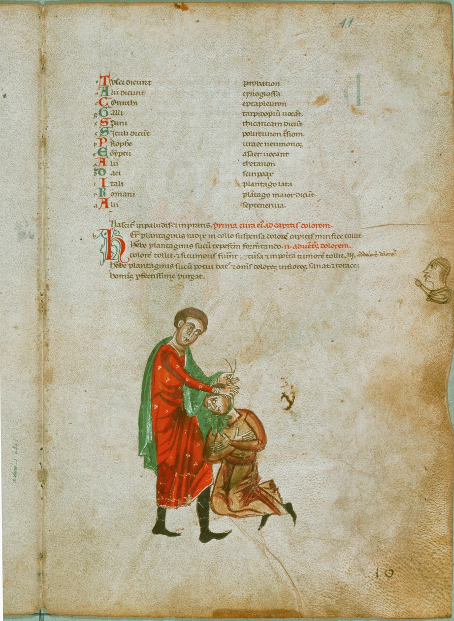 A Man Has His Headache Treated with Plantain-Root by Erich Lessing