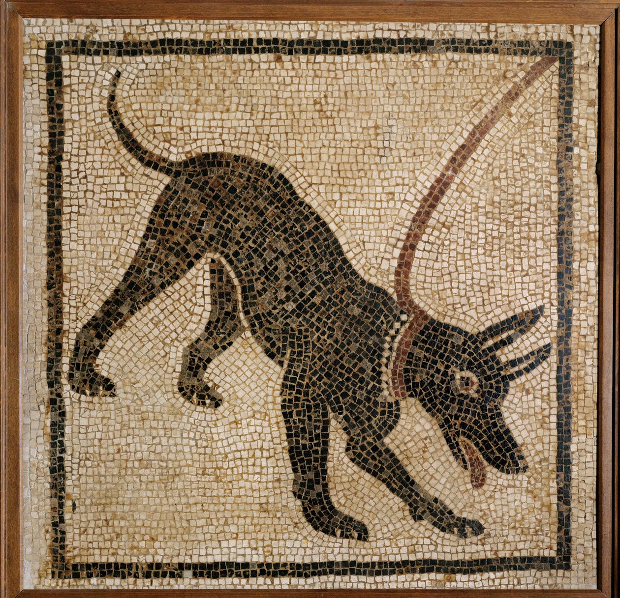 Cave Canem - Beware of the Dog, Threshold Mosaic from Pompeii by Erich Lessing