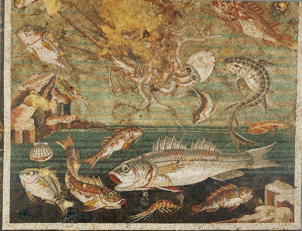 Marine Fauna, Fish, Casa del Fauno, Pompeii by Erich Lessing