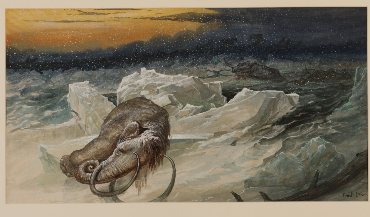 Woolly Mammoth by Ernest Henry Griset: Buy fine art prints