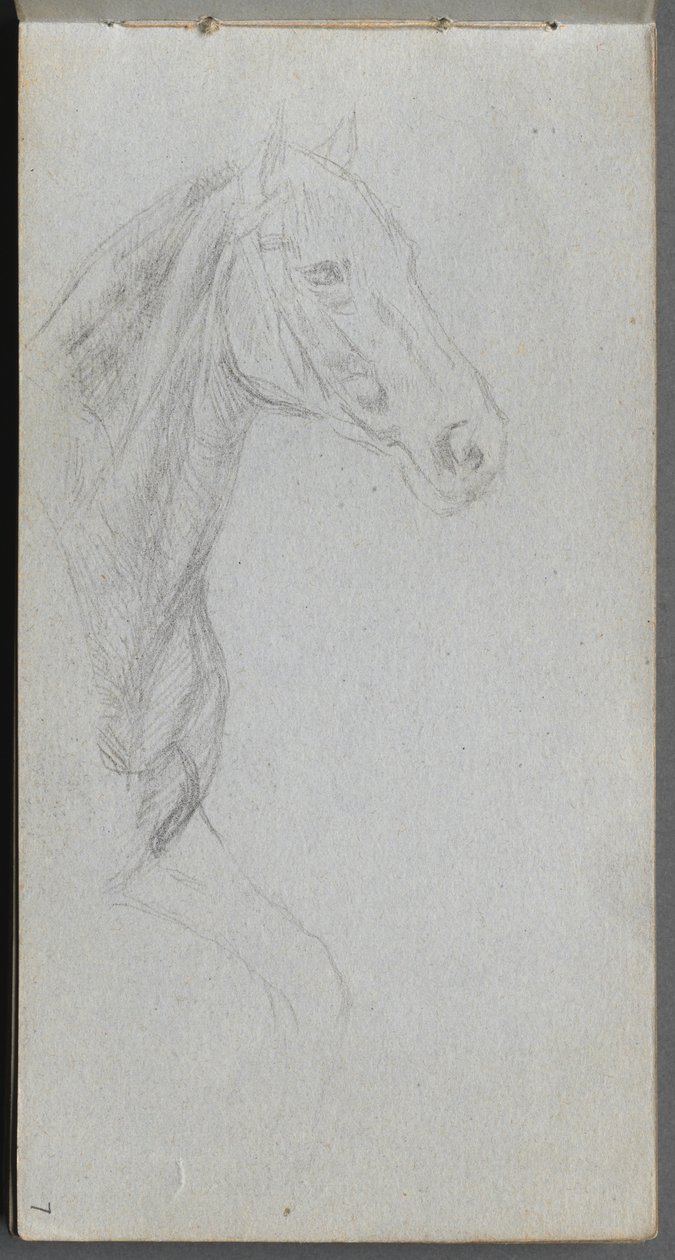 Sketchbook, Page 07: Study of a Horse by Jean Louis Ernest Meissonier