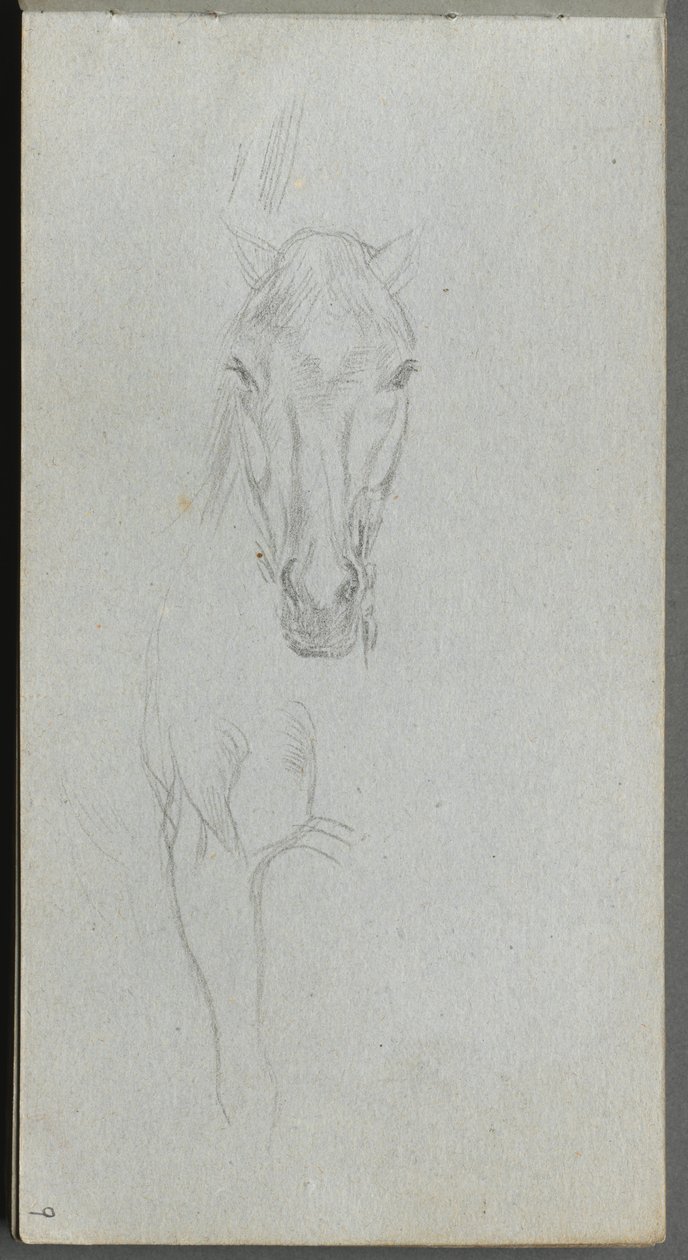Sketchbook, page 09: Study of a Horse by Jean Louis Ernest Meissonier