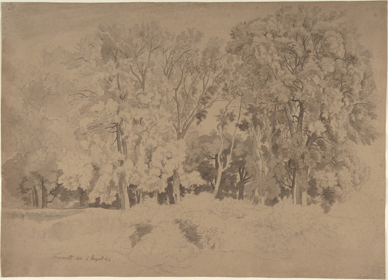 Edge of a Wood near Frascati by Ernst Fries