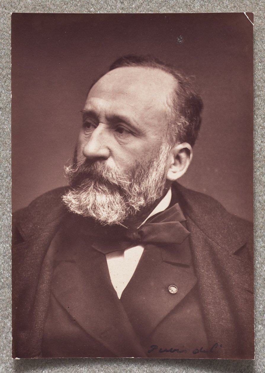 Puvis de Chavannes by Etienne Carjat