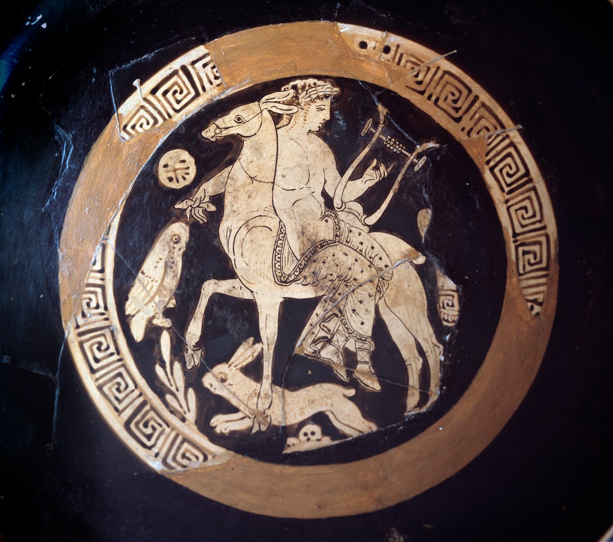 Kylix with representation of Apollon on a mulet, terracotta, 4th century BC by Etruscan