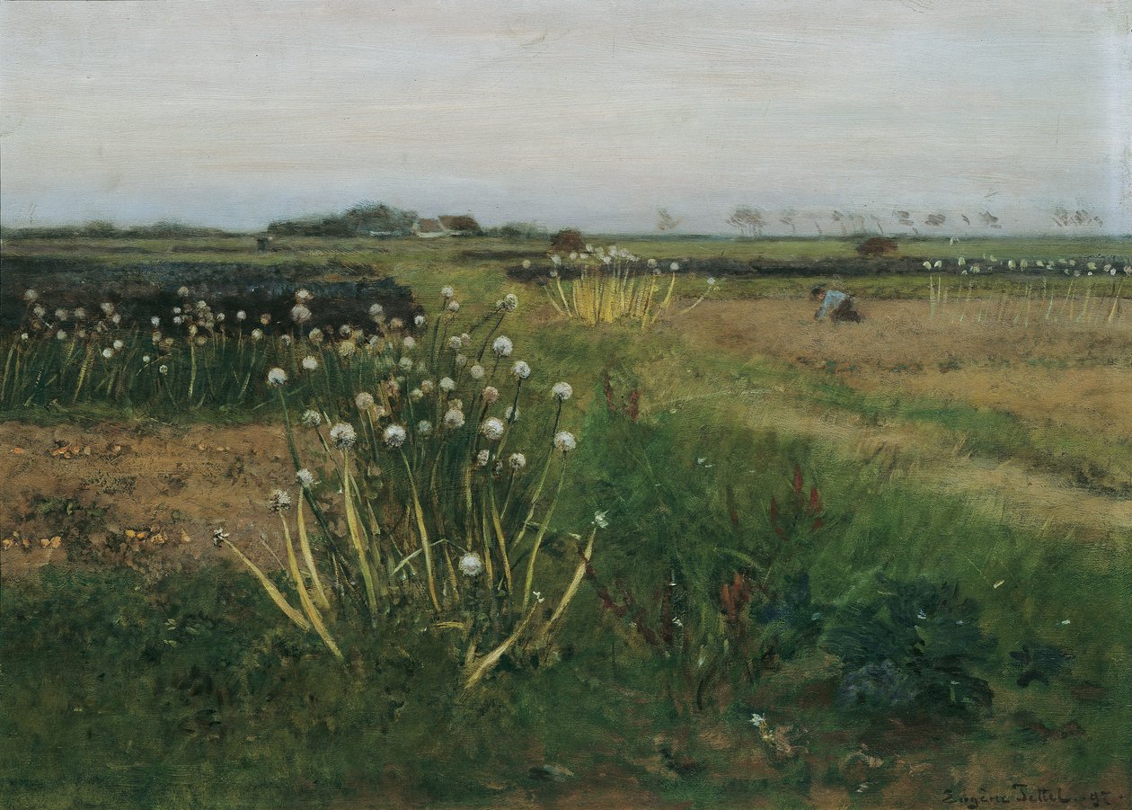 Flowering Onion Field by Eugen Jettel