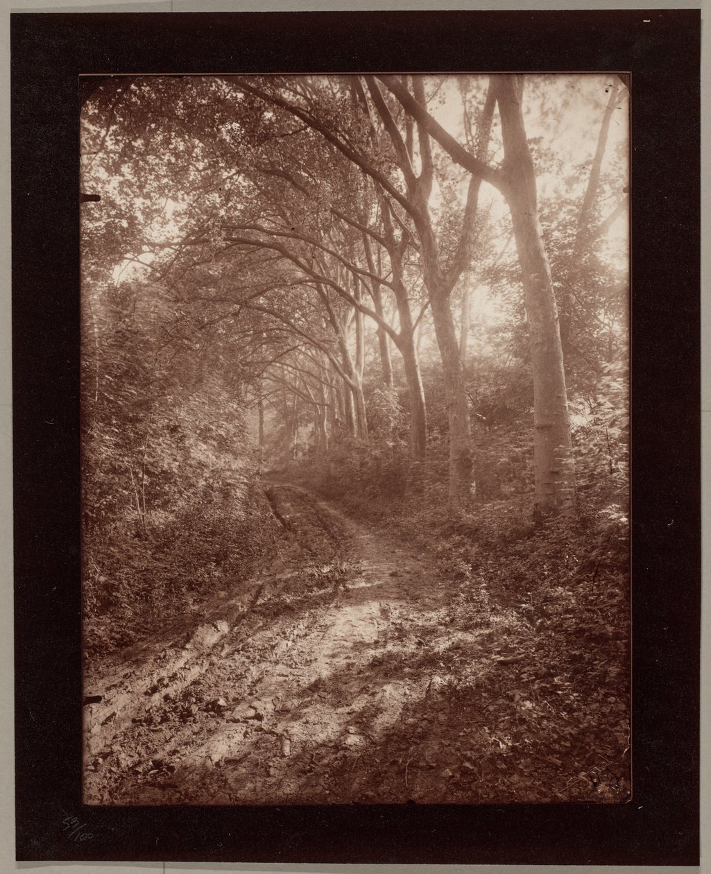 Park of Sceaux by Eugène Atget