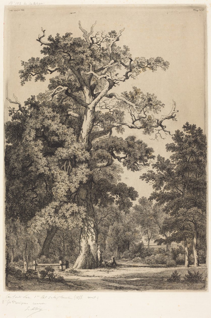 Ancient Oak in the Bois de Boulogne by Eugene Bléry