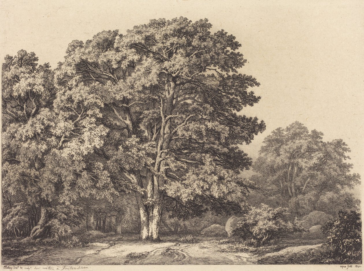 Entrance to a Forest by Eugene Bléry