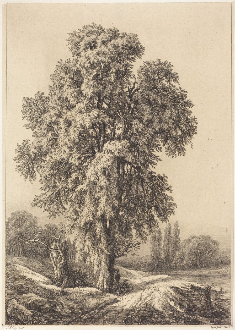 The Elm Tree by Eugene Bléry