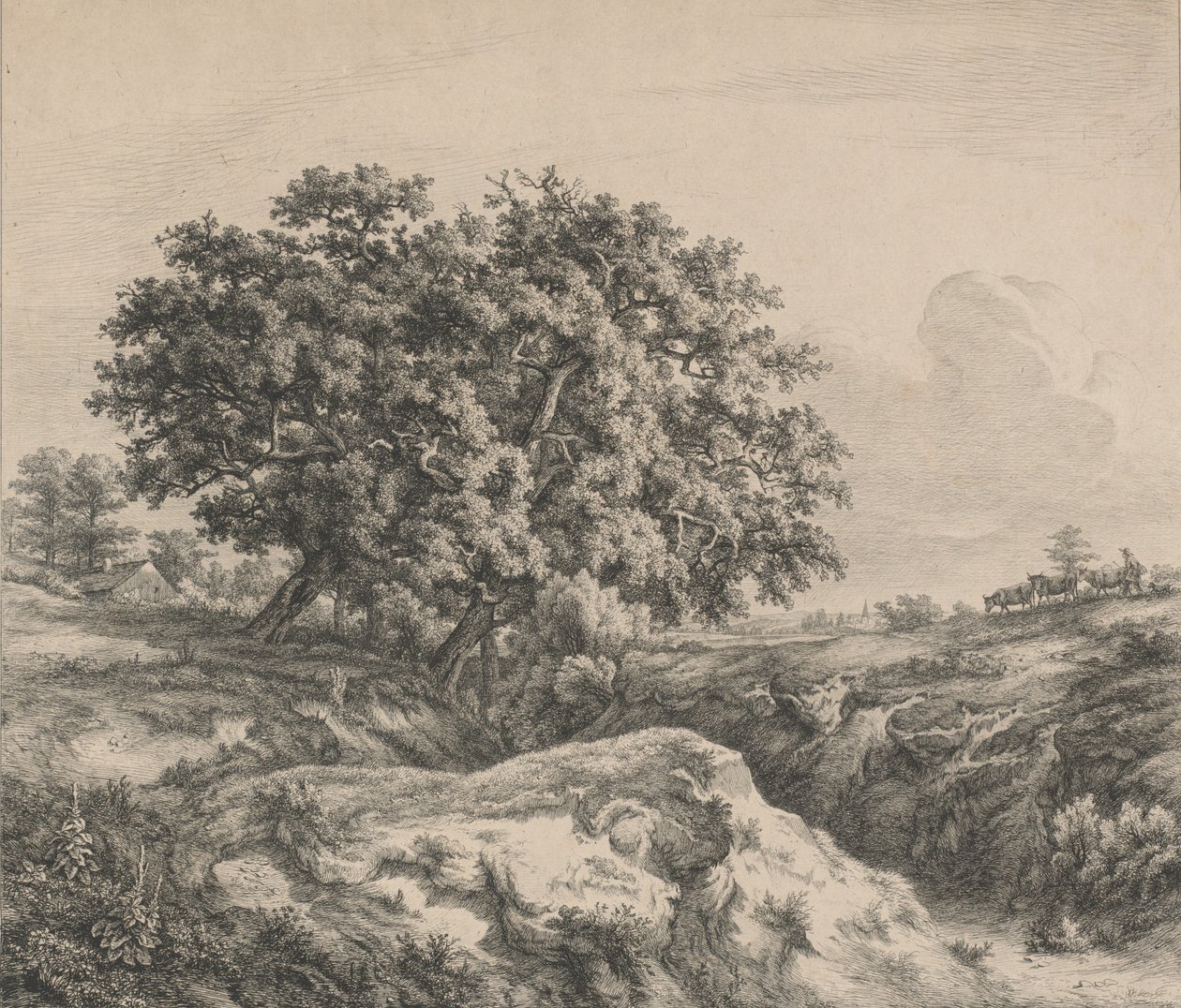 Oak Tree by a Ravine, 1845 by Eugene Bléry