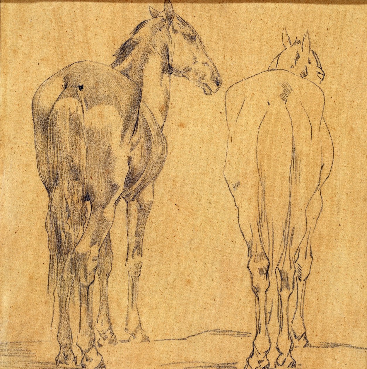 Study of Two Horses by Eugène Fromentin