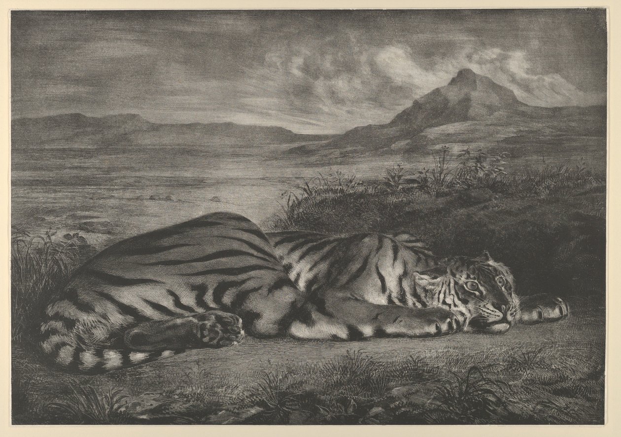 Royal Tiger, 1829 by Eugène Delacroix