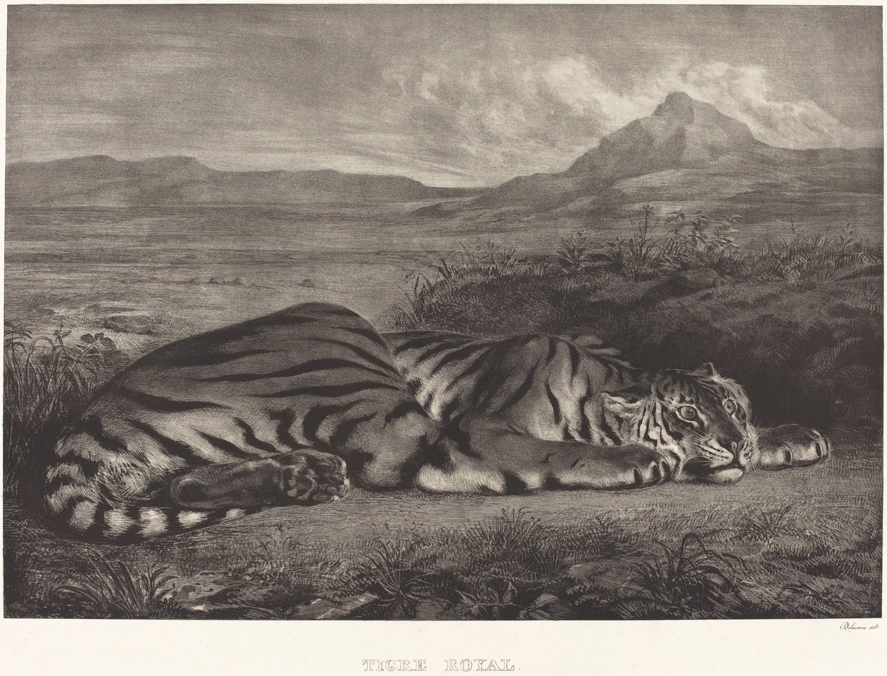 Royal Tiger, 1829 by Eugène Delacroix