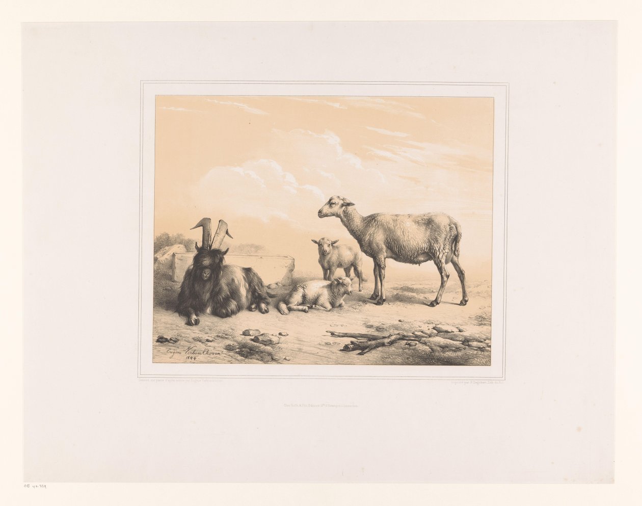 Goat, Sheep, and Two Lambs (Diverse Animals, Études d