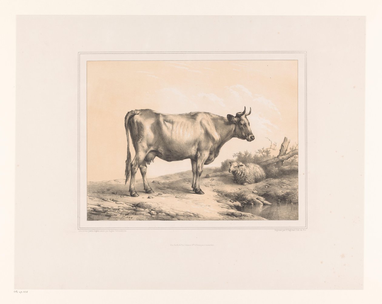 Cow and Sheep in a Landscape (Diverse Animals, Études d