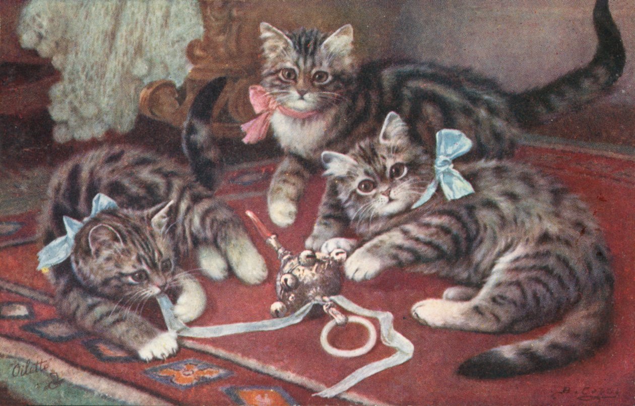 Cat Postcard by European School