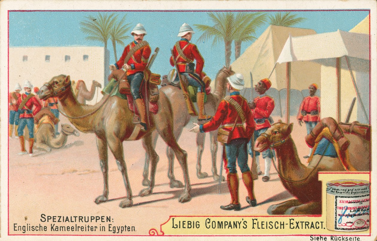 English Soldiers on Camels by European School