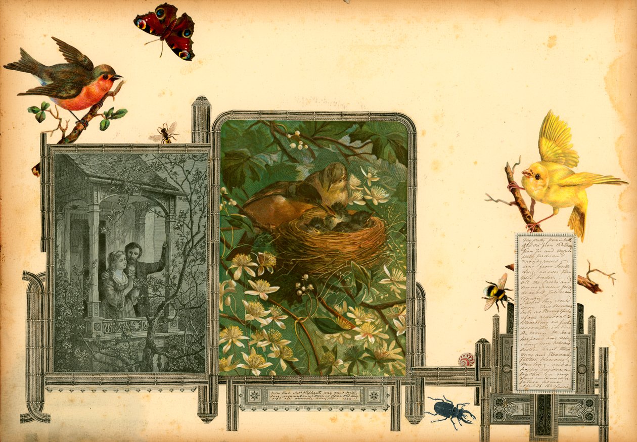 Page from Sammelsurium Volume I by European School