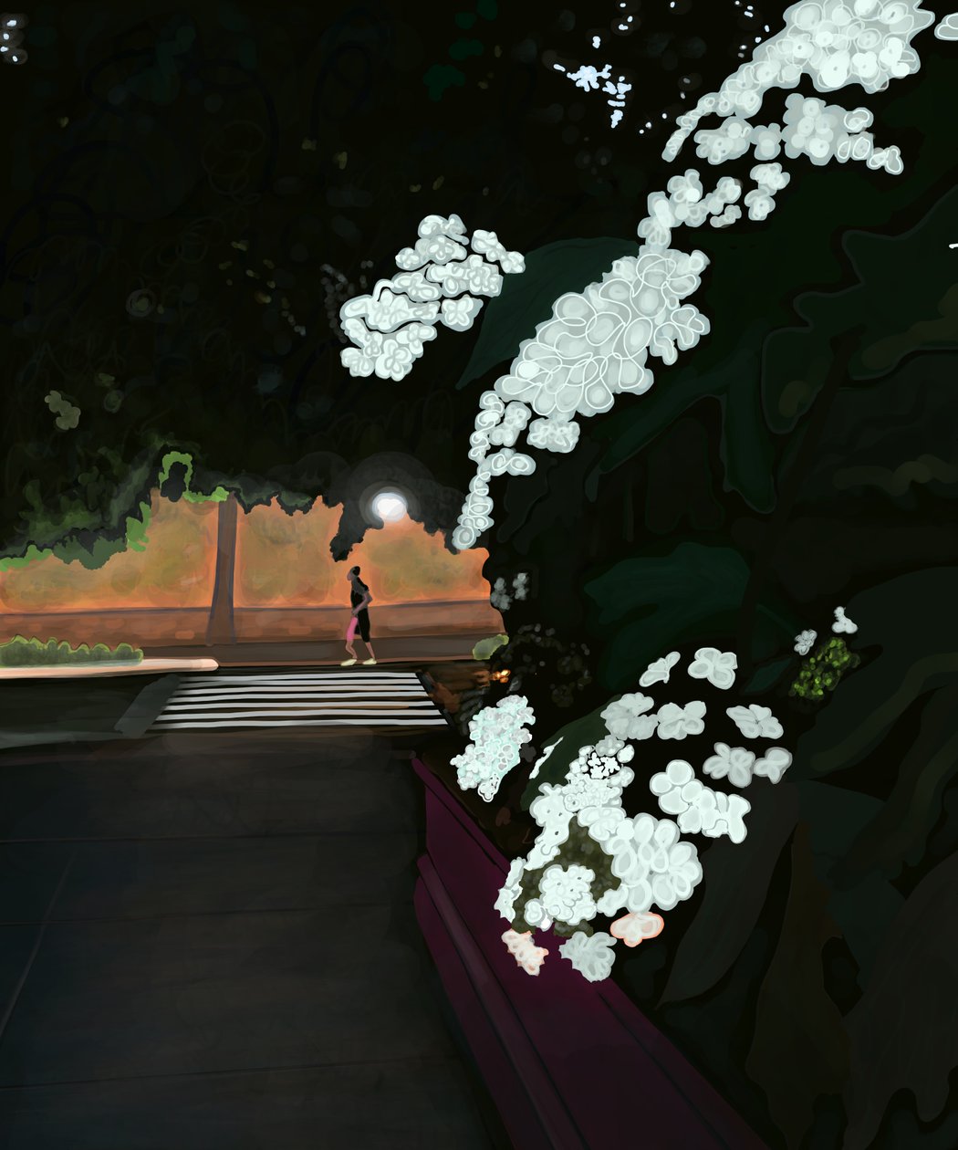 6 am. Rainy Morning and Jogger, Prospect Park West by Evan Sklar