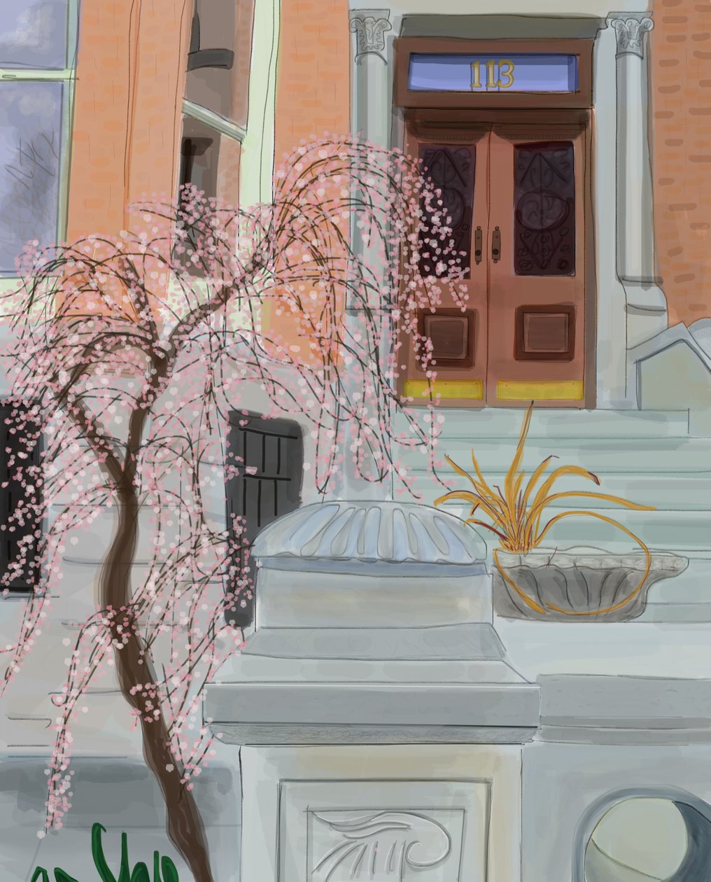 Blooming Cherry Tree, Brooklyn by Evan Sklar