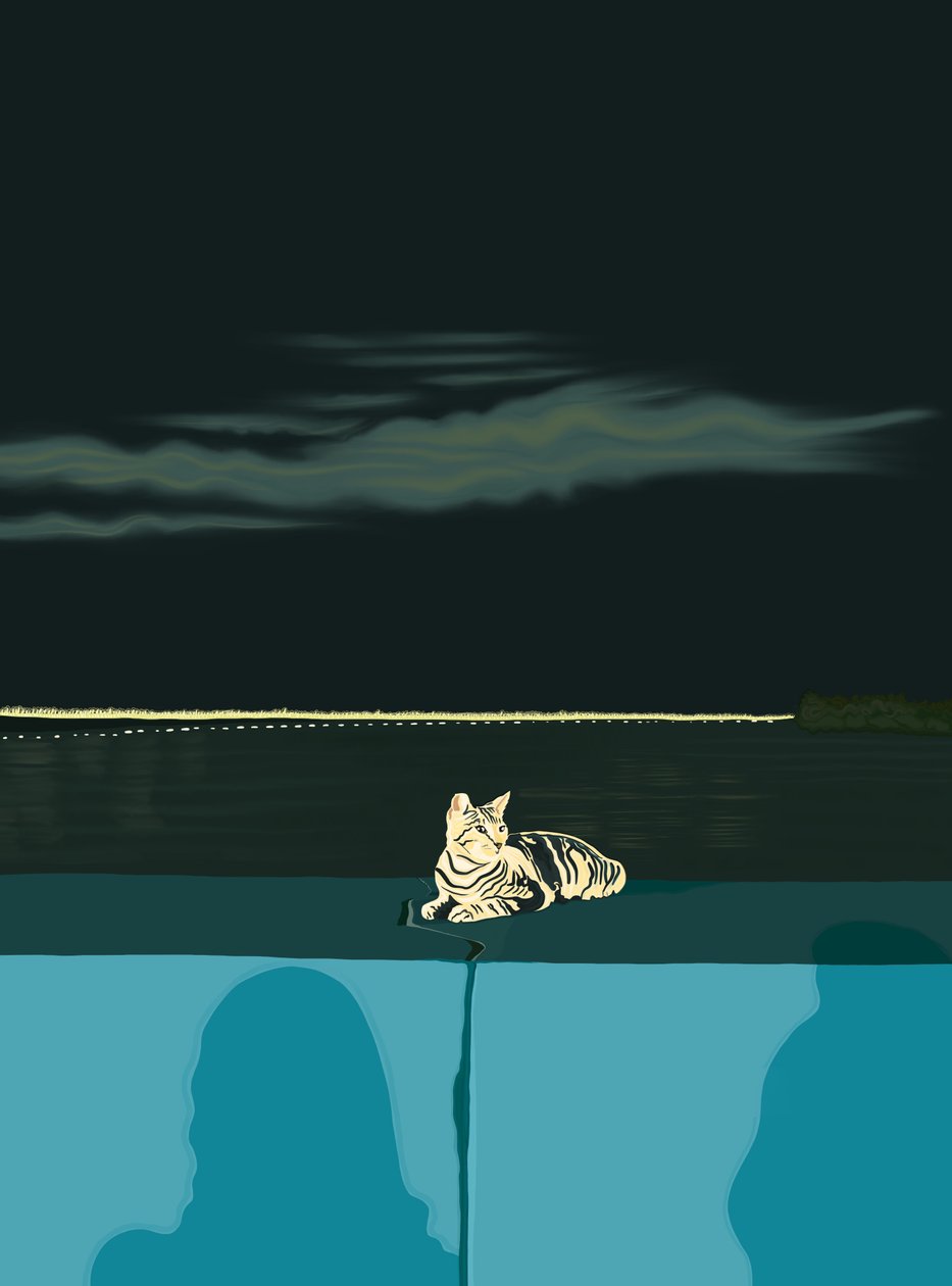 Cat On Wall, Panama City by Evan Sklar
