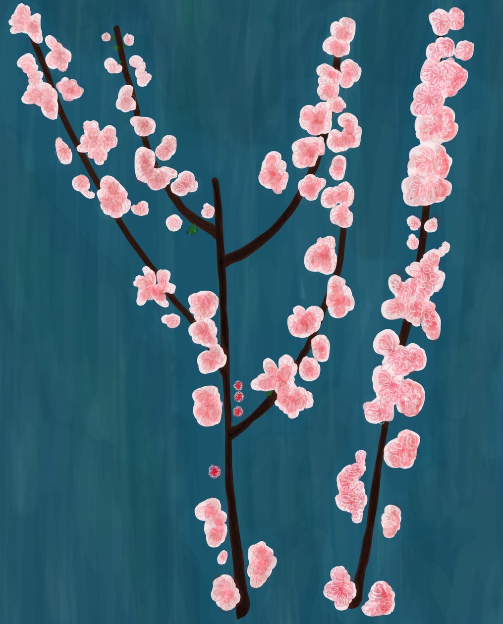 Cherry Blossom Branches, Brooklyn by Evan Sklar