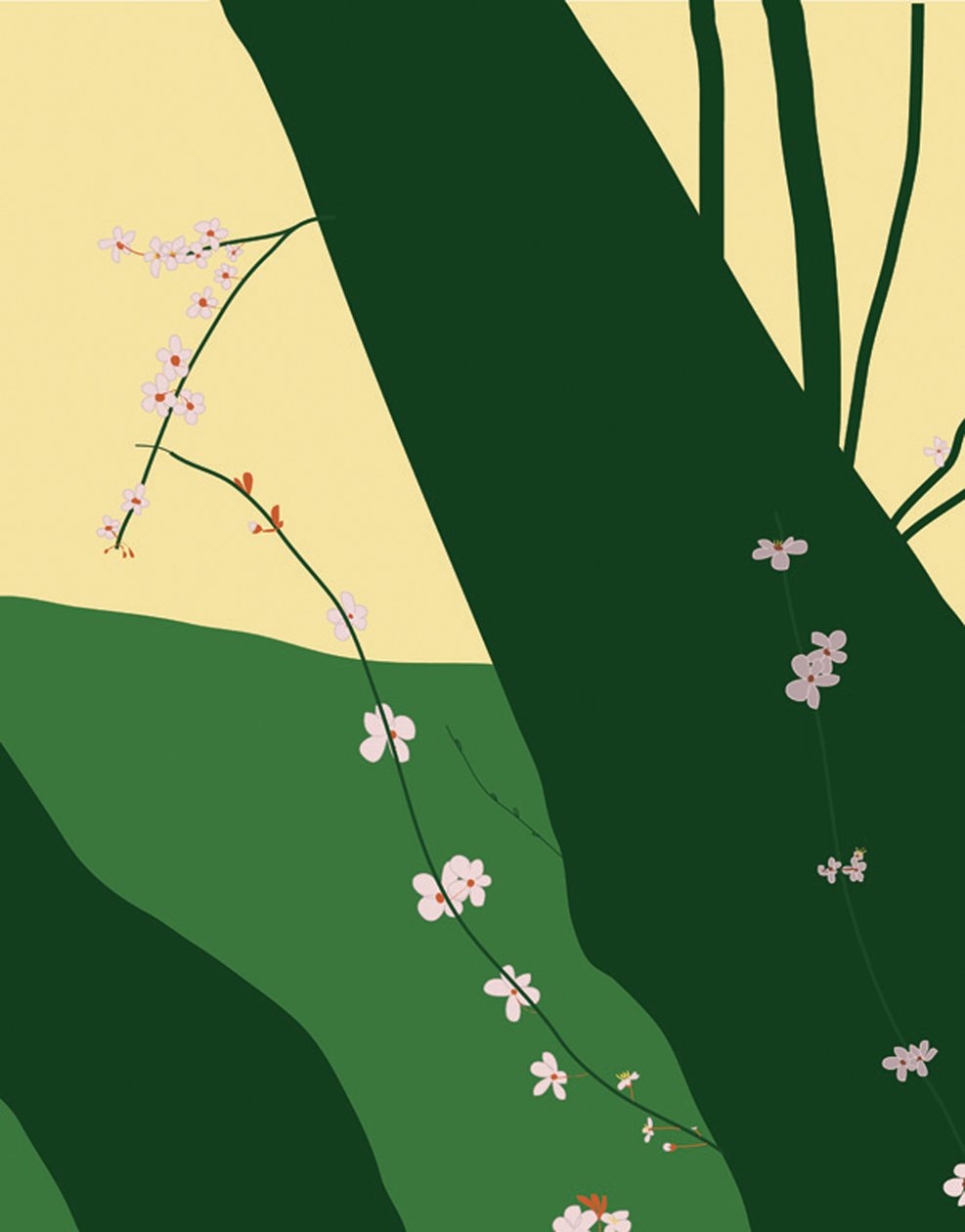 Cherry Blossoms, 2015 by Evan Sklar