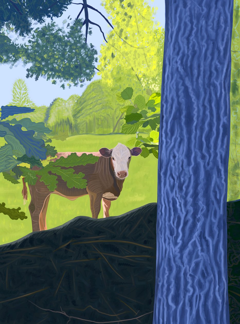 Cow In Field by Evan Sklar