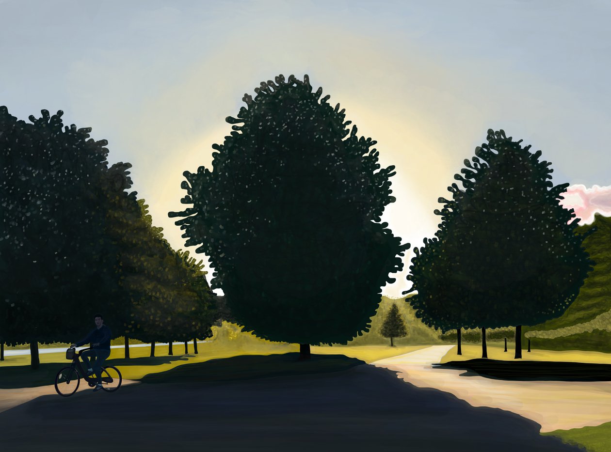 Cyclist, Dawn, Hyde Park by Evan Sklar