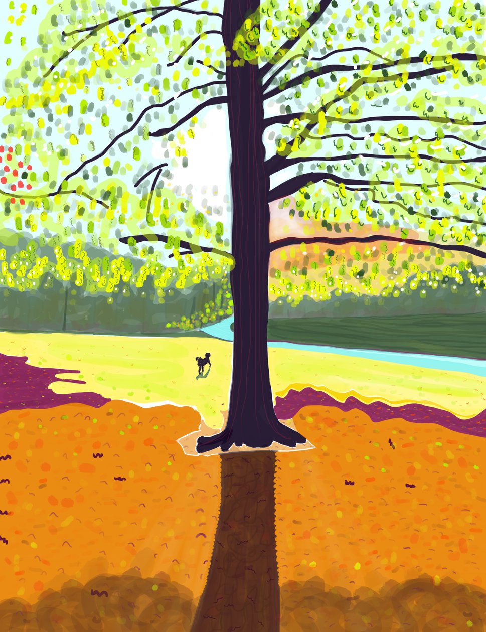 Dog, Early Morning, Fall, Prospect Park by Evan Sklar