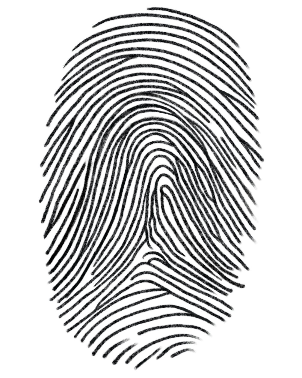 Drawing of a Fingerprint, Brooklyn by Evan Sklar