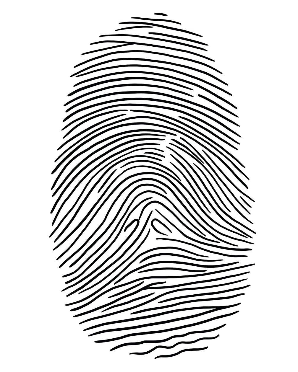 Drawing of a Fingerprint, Brooklyn by Evan Sklar